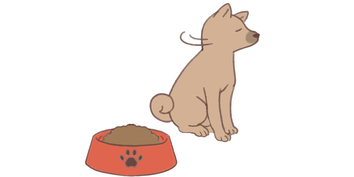 ドックフードを食べない犬のイラスト